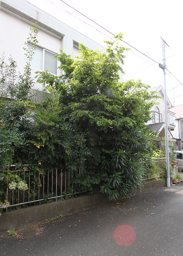 空き家管理の代行－NPO法人 空家・空地管理センター